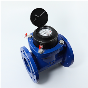 Removable Element Woltmann Water-Meter