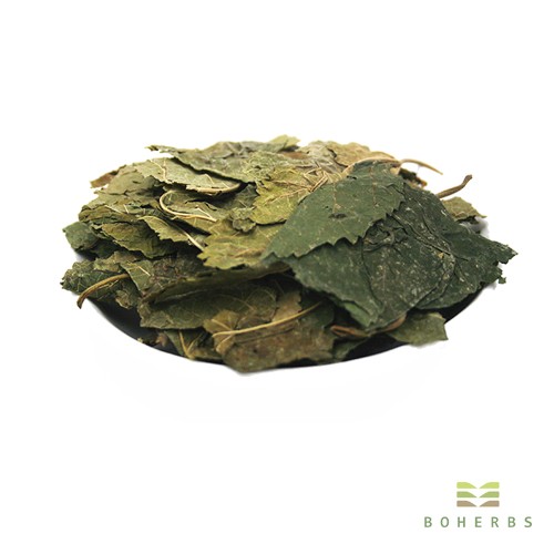 Mulberry Leaf Extract Powder Factory