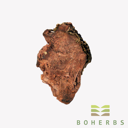 Rhodiola Root