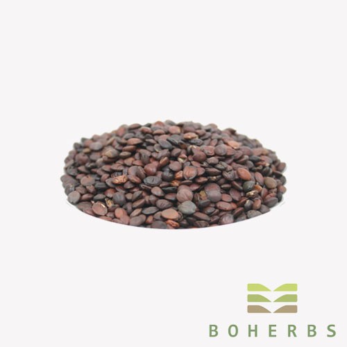 Sour Jujube Seed Certified Organic Factory