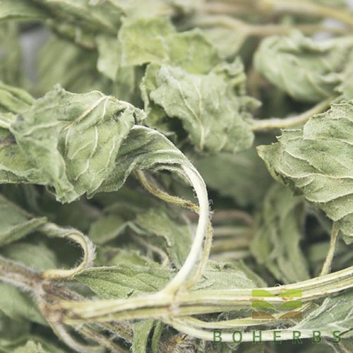 Dried Peppermint Leaves Factory