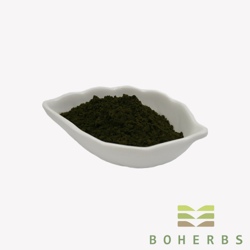 Chlorella Powder