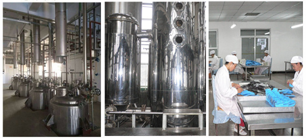 5-HTP Powder