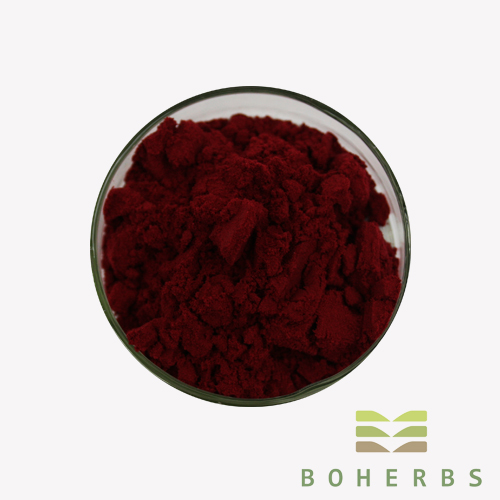 Blueberry extract Powder