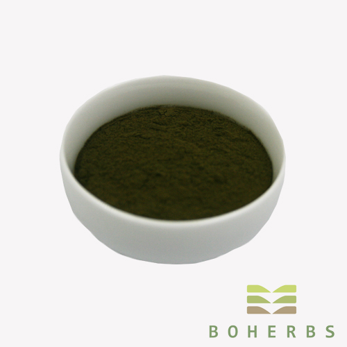 Wheat Grass Powder