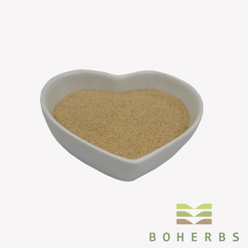 Panax Ginseng Root Extract Powder Factory