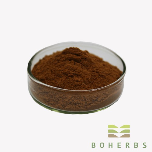 Fo-Ti Root Extract Powder