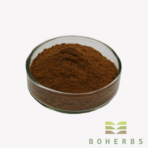 Fo-Ti Root Extract Powder Factory