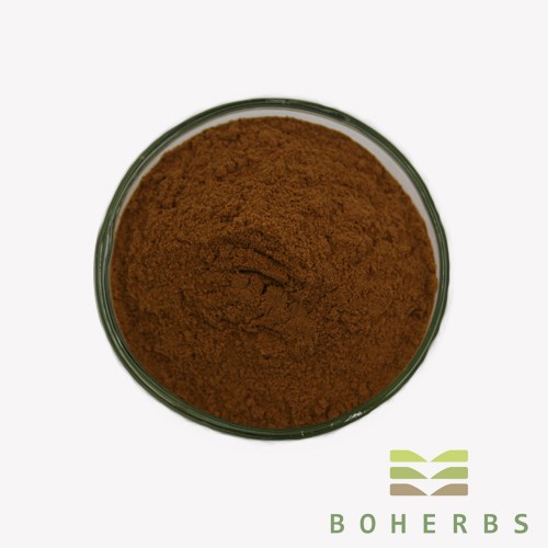 Fo-Ti Root Extract Powder Factory