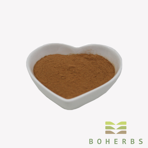 Schisandra Chinesis Extract Powder