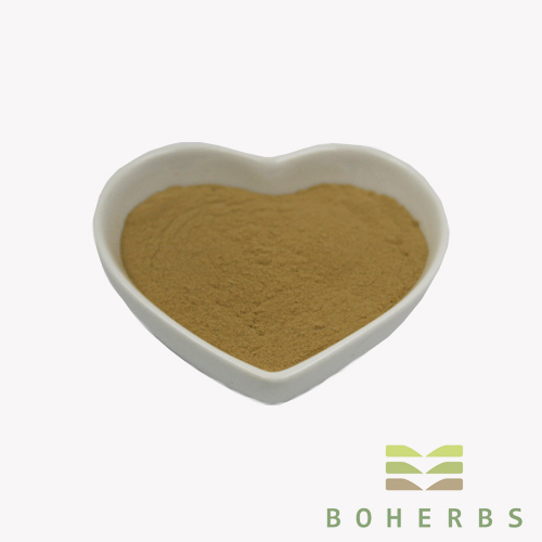 Gynostemma Extract Powder