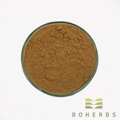 Ginkgo Biloba Extract Powder