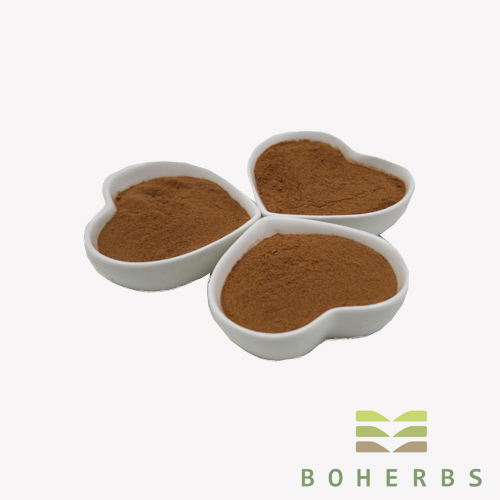 Rhodiola Rosea Extract