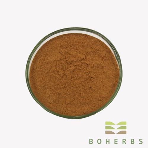 Rhodiola Rosea Extract Powder Factory