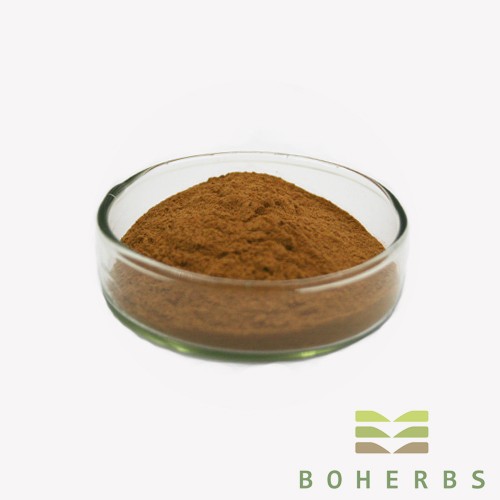 Astragalus Root Extract Powder Factory