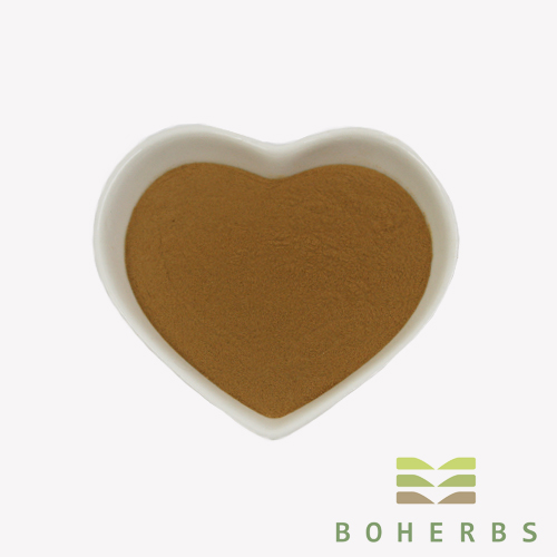 American Ginseng Root Extract Powder
