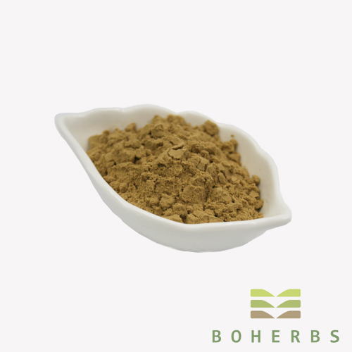 Cordyceps Sinensisi Extract