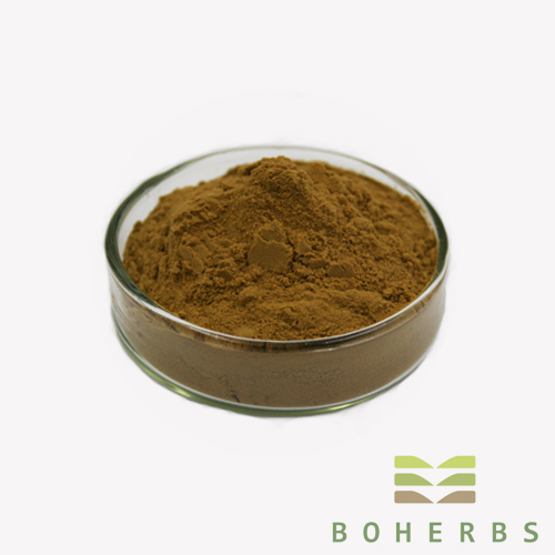 Mulberry Leaf Powder