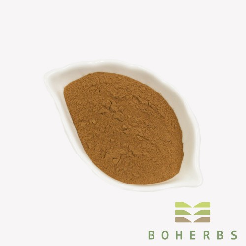 Mulberry Fruit Extract Powder Factory