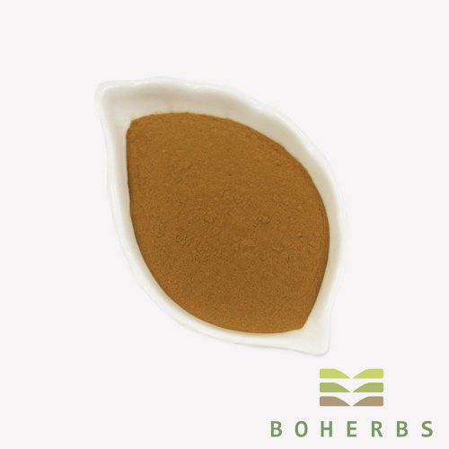 Organic Pure Shiitake Mushroom Extract Powder