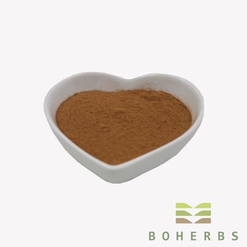 Hawthorn Berry Extract Powder Factory