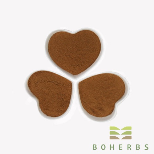Hawthorn Berry Extract Powder Factory