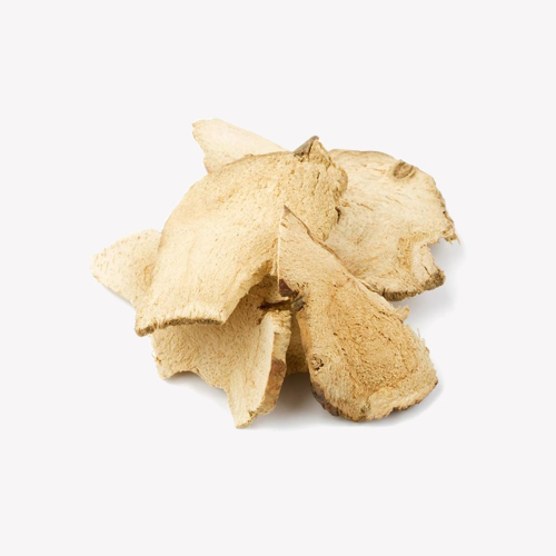 Galangal Root Herb