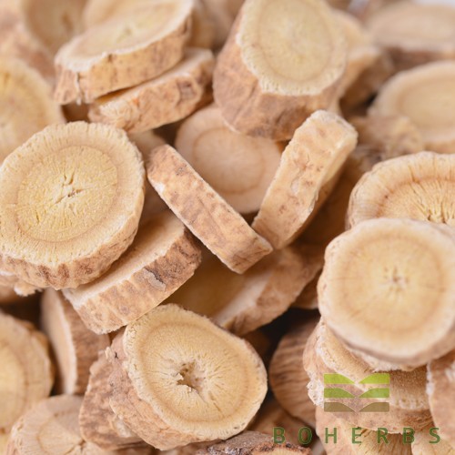 Astragalus Root Extract Powder Factory