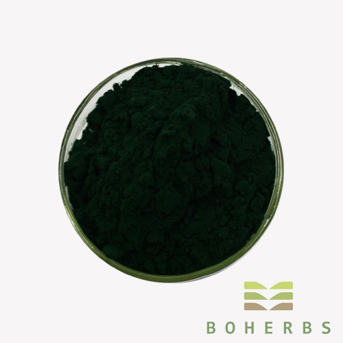 Spirulina Powder