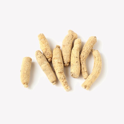 American Ginseng Extract Powder Factory