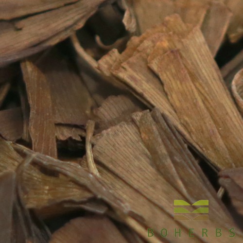 Ginkgo Biloba Leaf Extract Powder Factory