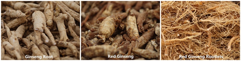 Red Gingseng Root