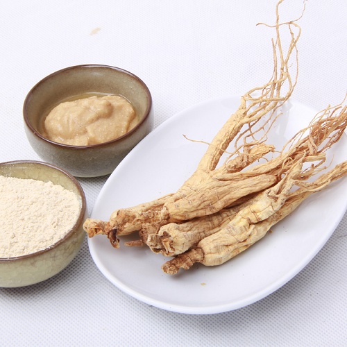 Panax Ginseng