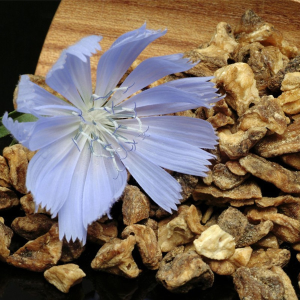 Chicory Herb