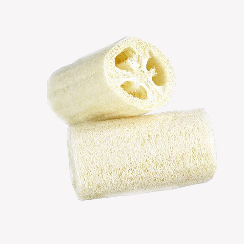 Luffa Sponge