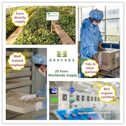 Kudzu Root Certified Organic Factory