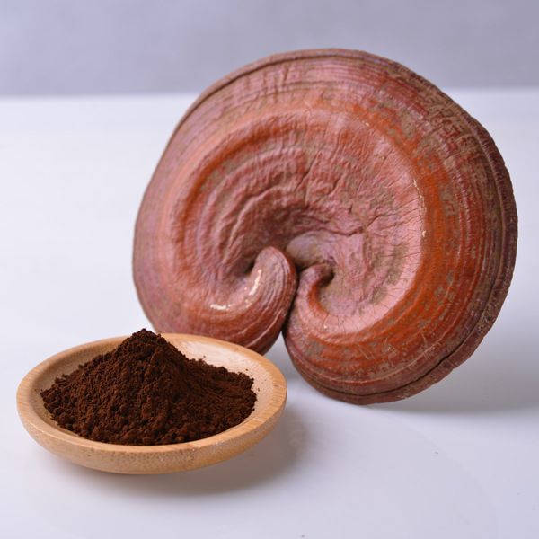 Ganoderma Lucidum Powder