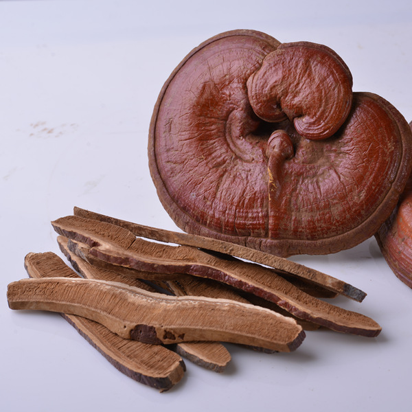 Ganoderma Lucidum Powder