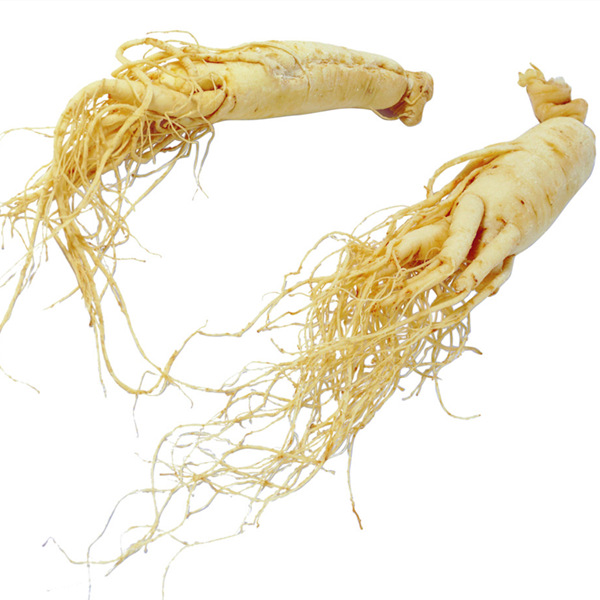 Dried Ginseng Whole Root