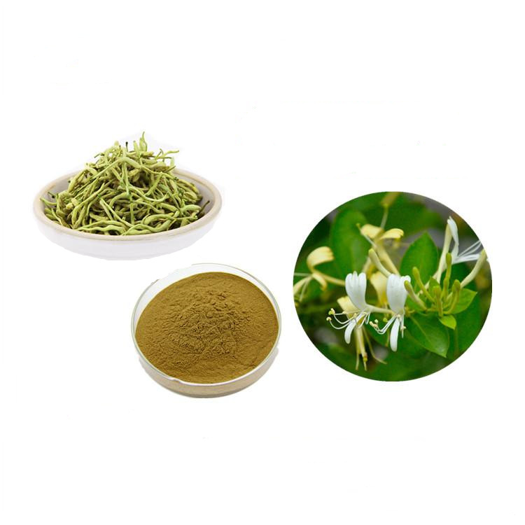 Flos Lonicerae Extract