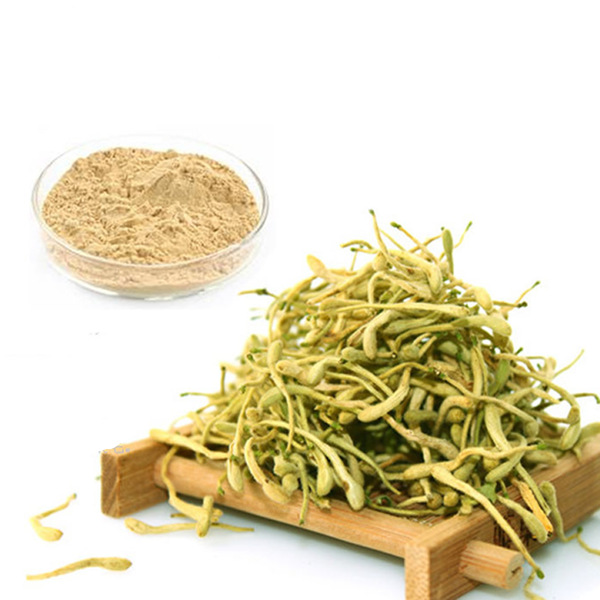 Honeysuckle Extract Supplier