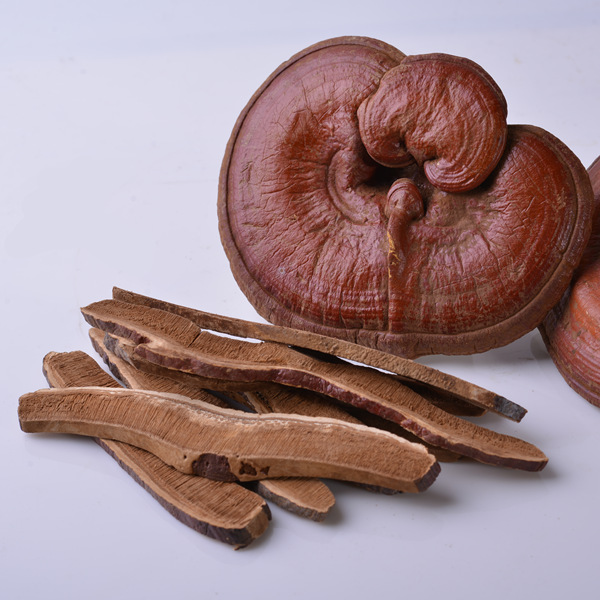 Ganoderma Lucidum