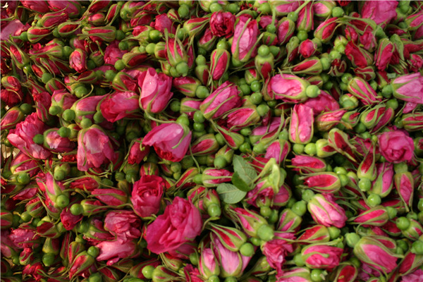 Rose Buds Tea