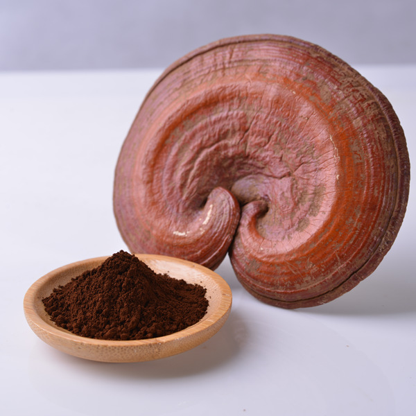 Broken Ganoderma Lucidum Spore Powder