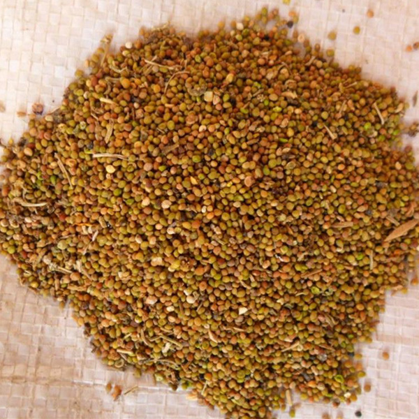 Chinese Dodder Seed