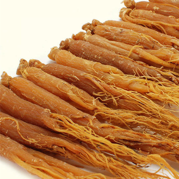 Red Ginseng