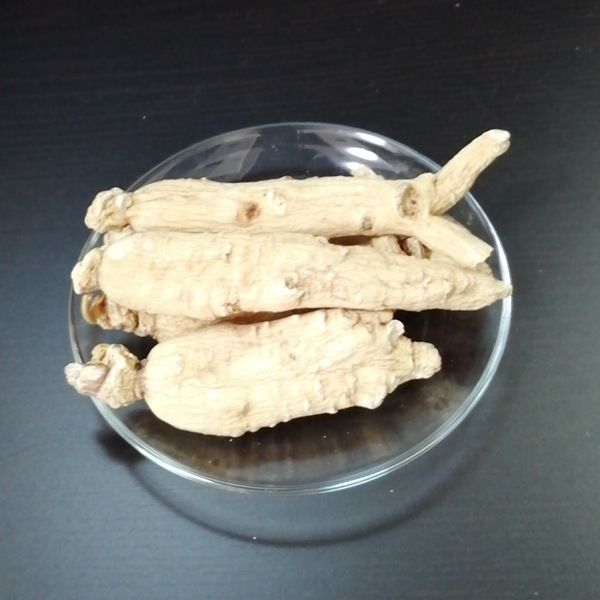 Ginseng Root