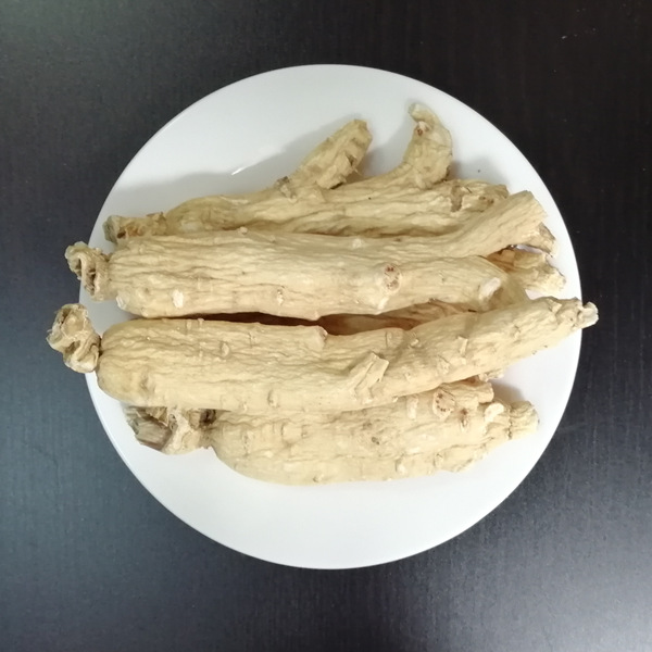 Ginseng Root For Sale