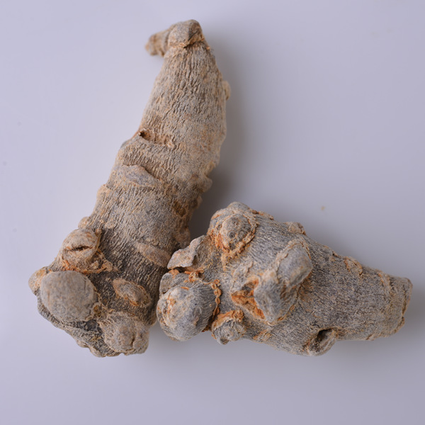 Panax Notoginseng Root