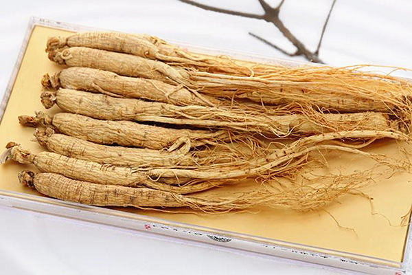 White Ginseng Root